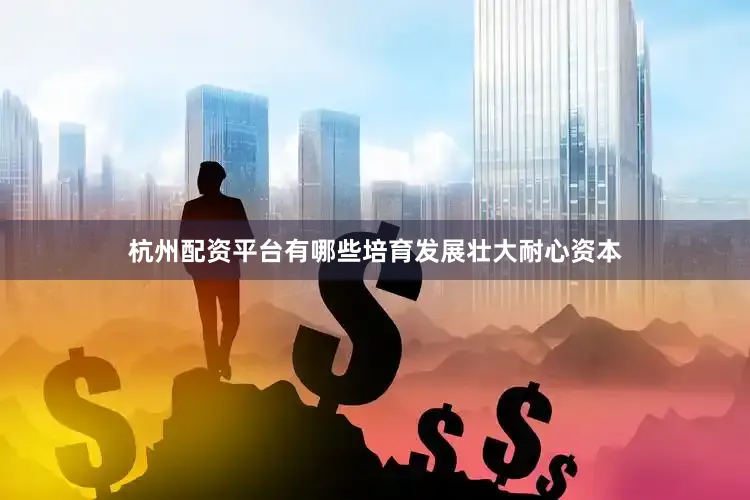 杭州配资平台有哪些培育发展壮大耐心资本