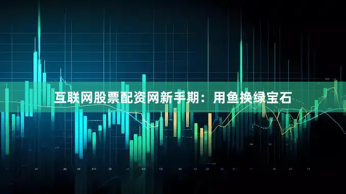 互联网股票配资网新手期：用鱼换绿宝石