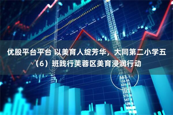 优股平台平台 以美育人绽芳华，大同第二小学五（6）班践行芙蓉区美育浸润行动