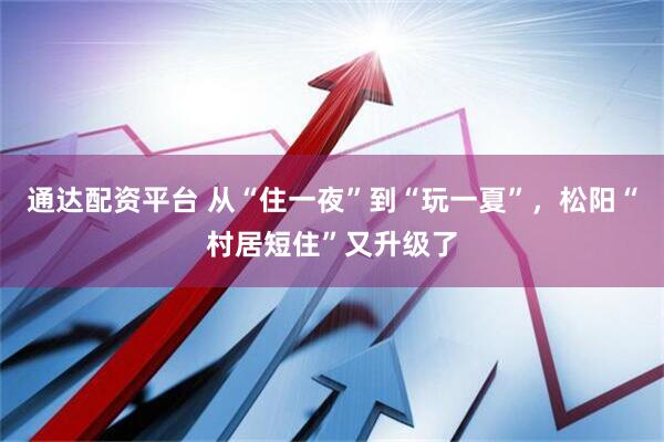 通达配资平台 从“住一夜”到“玩一夏”，松阳“村居短住”又升级了